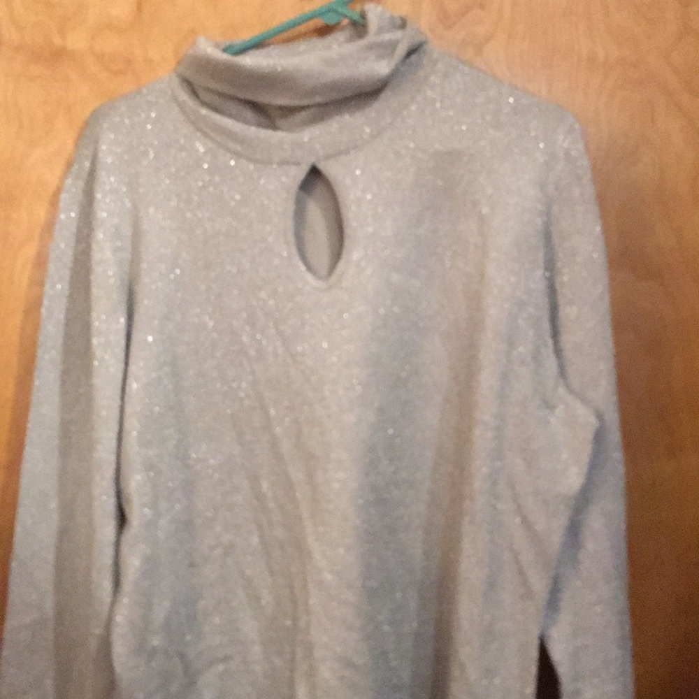 Reposhed sparkling silver turtleneck
