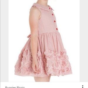 Great buy! Biscotti kids dress with roses SZ 8