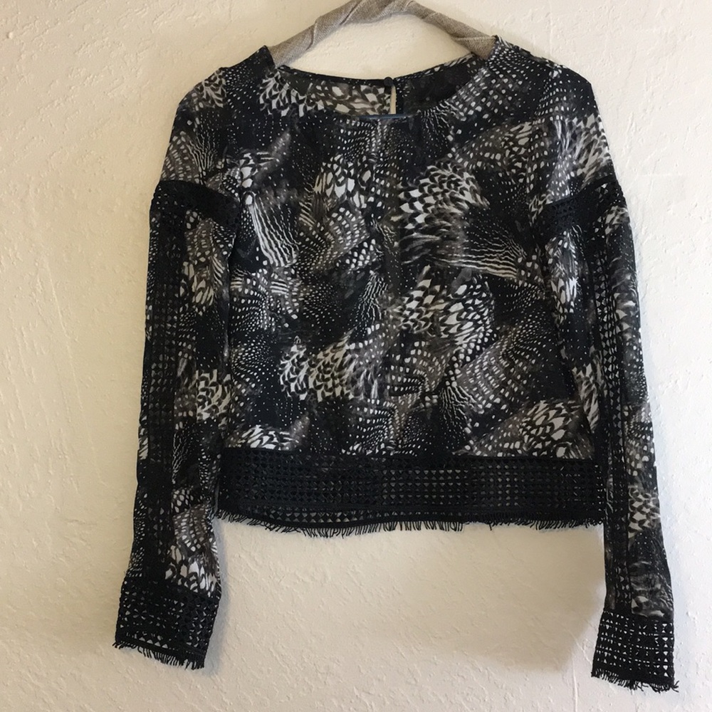 H&M Crotchet Lace Cut-Out Sheer Semi Crop Top
