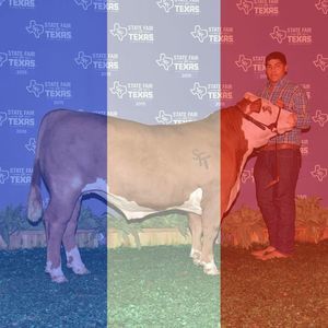 Meet your Posher, Efren