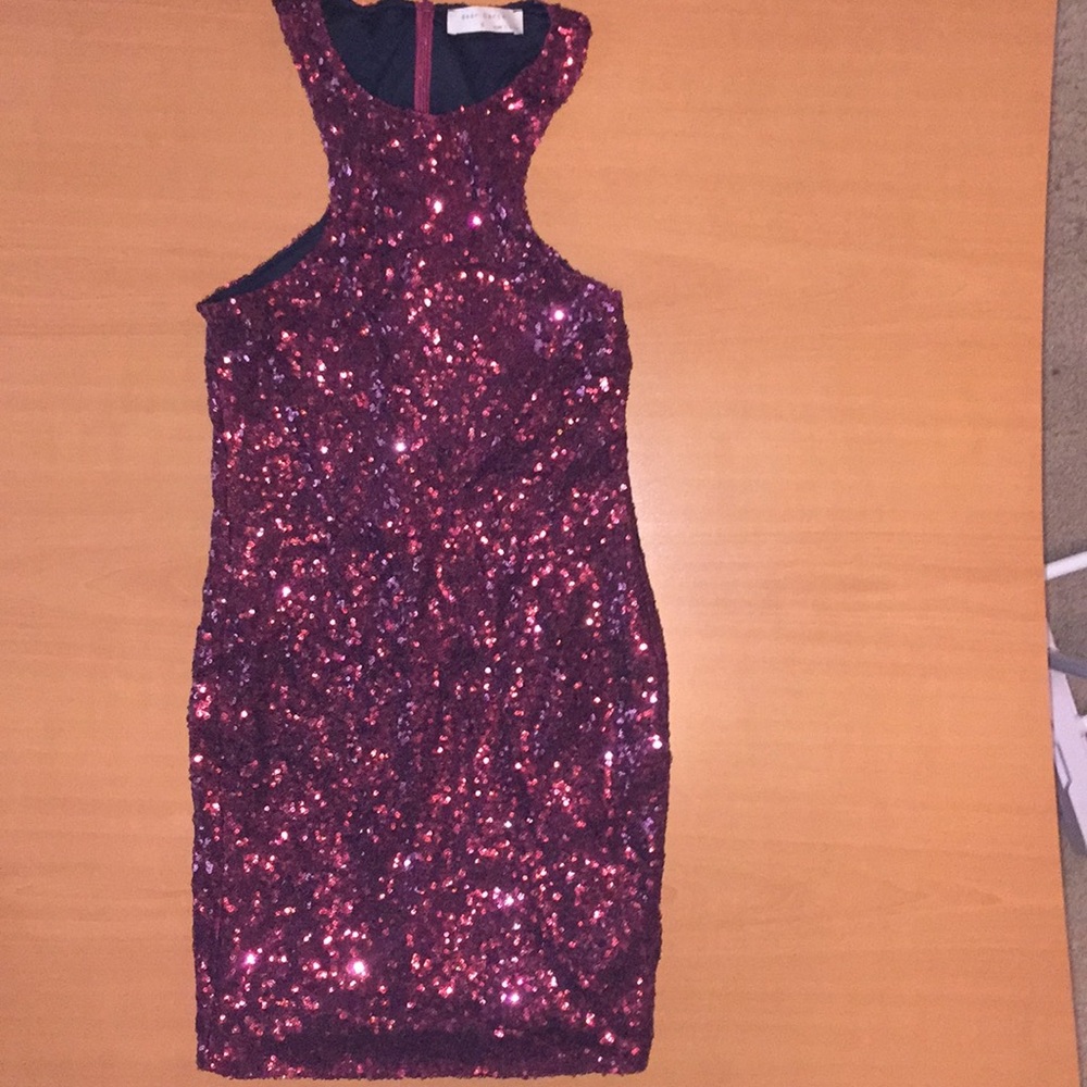 Bear Dance Sequined Dress