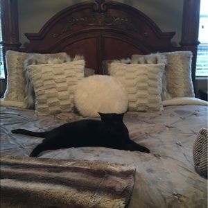 Meet your Posher, Elise