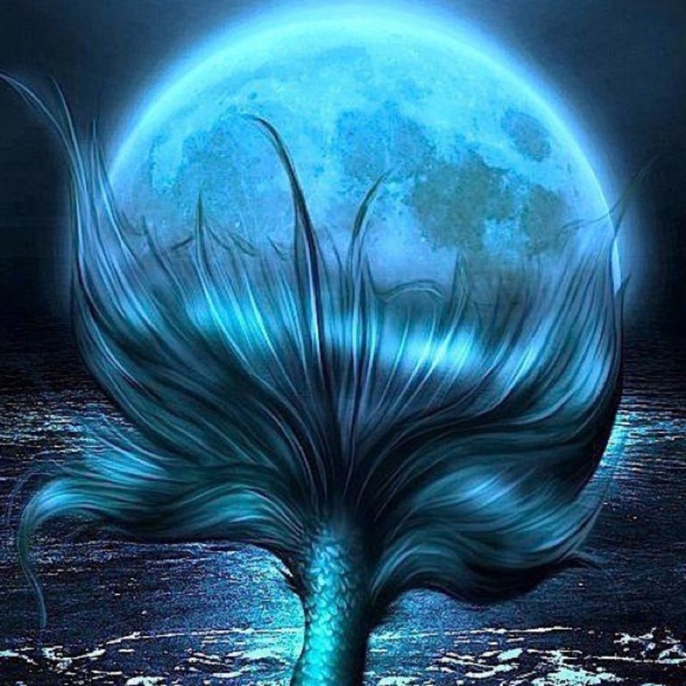 Meet your Posher, Cecilia