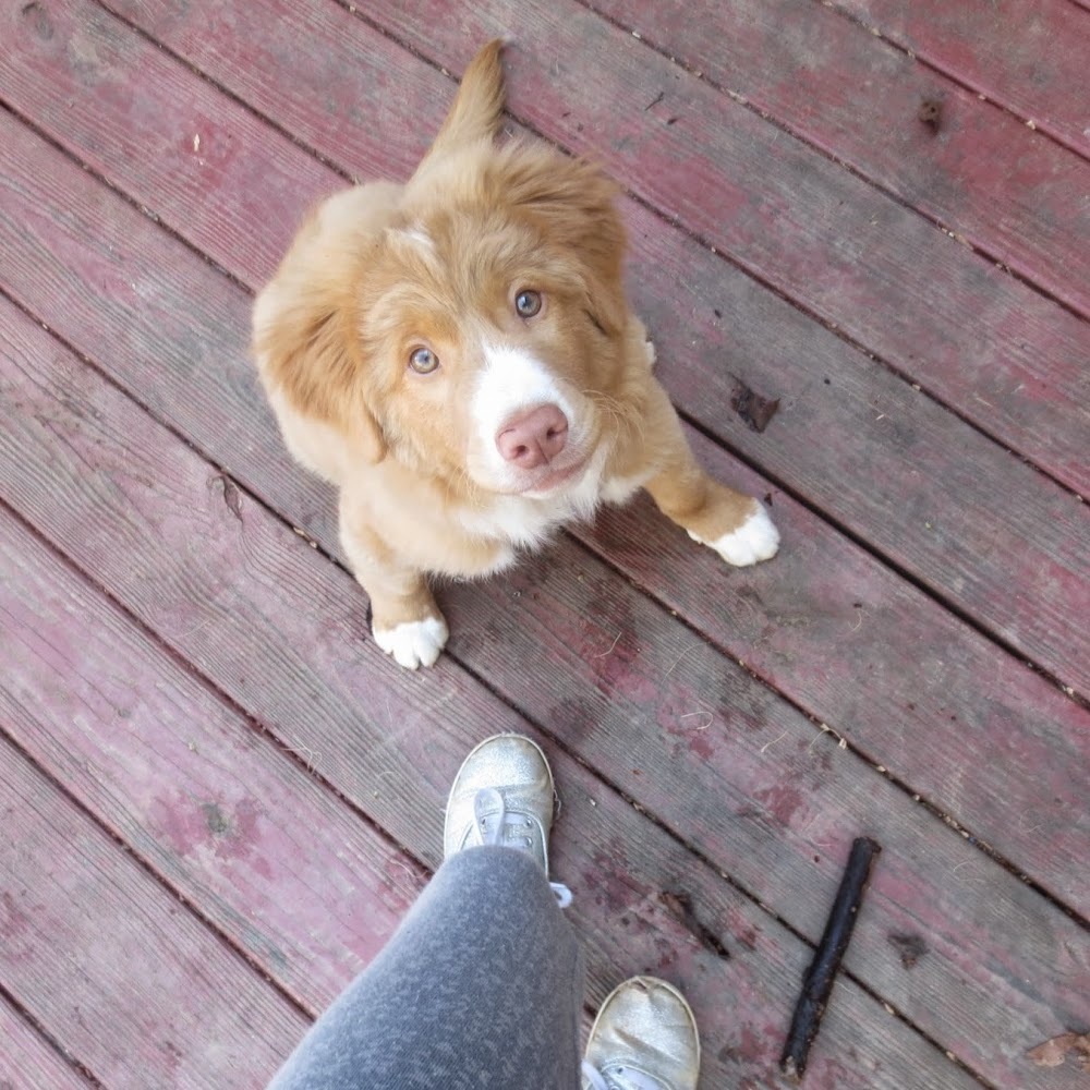 Meet your Posher, Katie