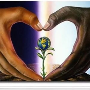 Meet your Posher, Yvette