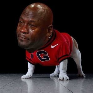 Meet your Posher, Pj