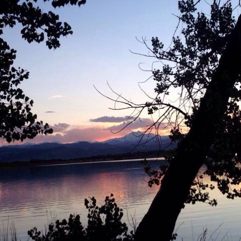 Meet your Posher, Sadie