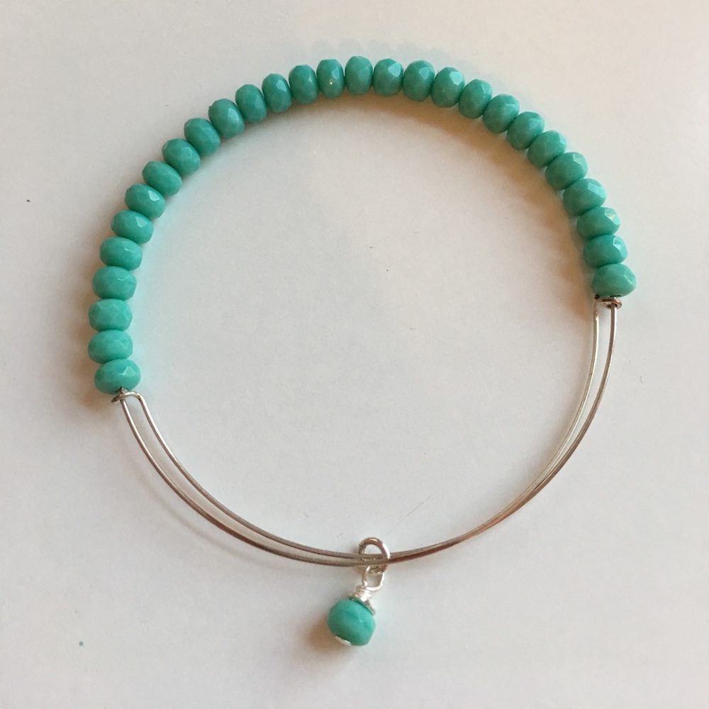 Alex and Ani look a like bangle