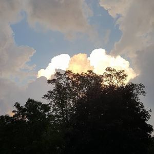 Meet your Posher, Cyndi