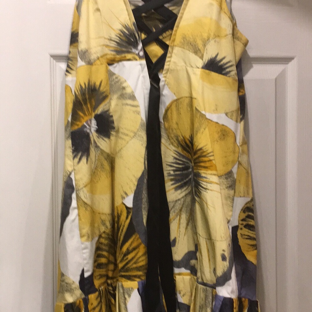 Anthropologie and Nordstrom Leifsdottir Dress