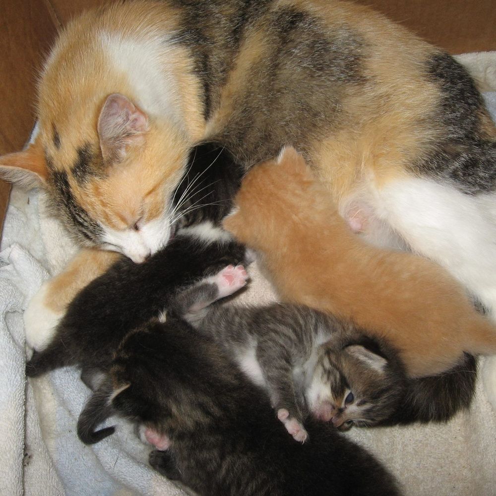 Meet your Posher, Linda