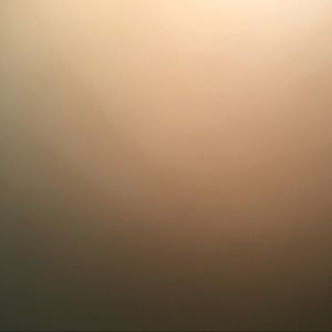 Meet your Posher, Monique