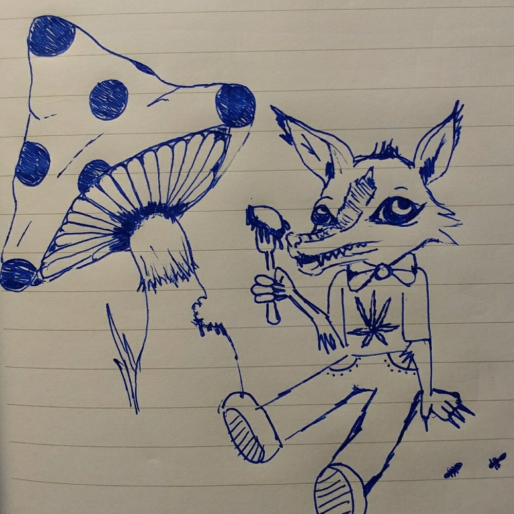 Meet your Posher, Hailey