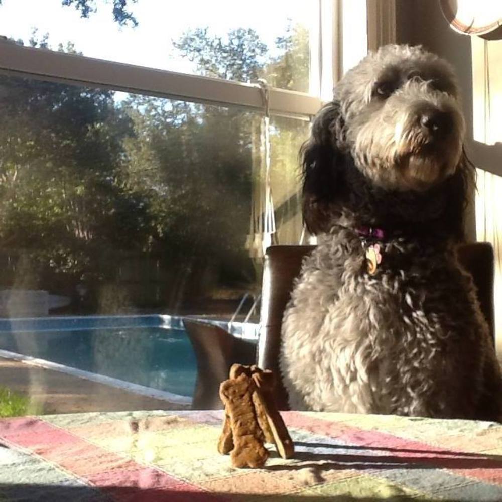 Meet your Posher, Susan