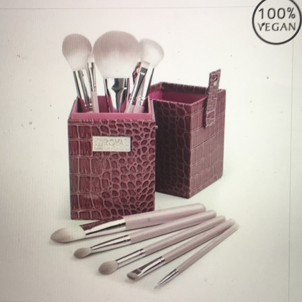 FLASH SALE Royal & Langnickel 11 pc. Pro brush kit