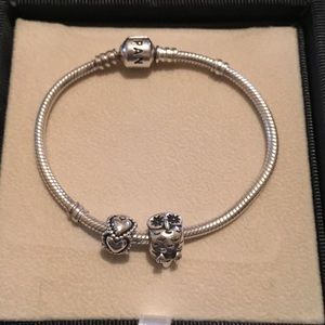 Silver Pandora Bracelet
