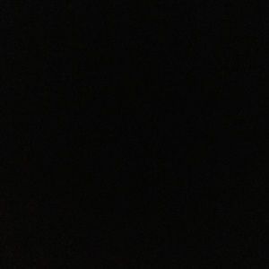 Meet your Posher, Bailey