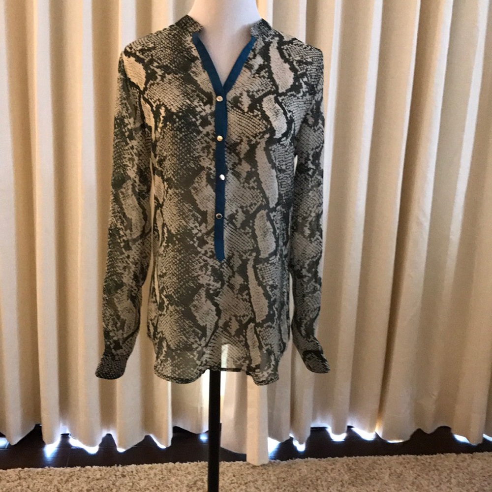 Sheer blouse