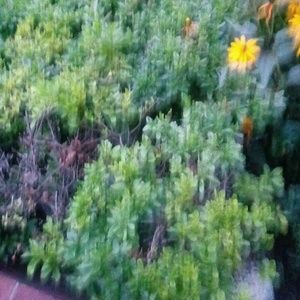 Meet your Posher, Corey