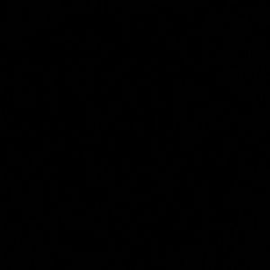 Meet your Posher, Emir