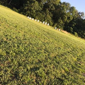 Meet your Posher, Lynn