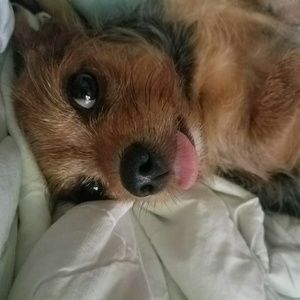 Meet your Posher, Kimm