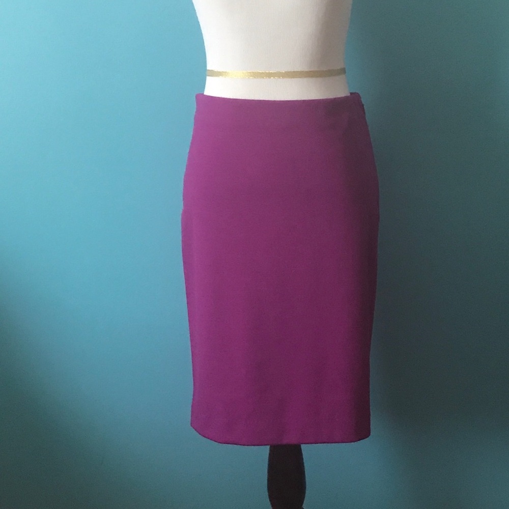 SOLD ⭐️⭐️The Limited Skirt (free shipping)