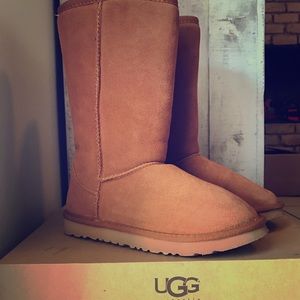 Ugg tall chestnut boot