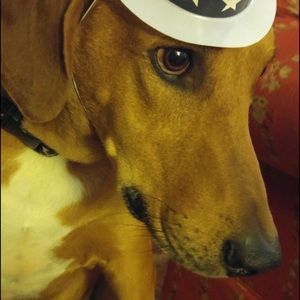 Meet your Posher, Suzanne