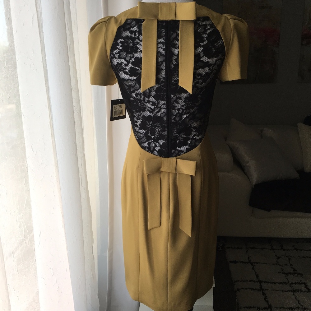 Robert Rodriguez Bow Sheer Lace Back Sheath Dress