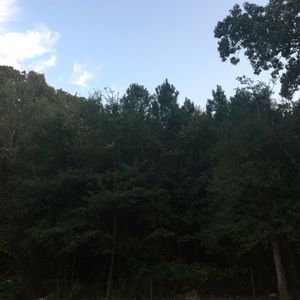 Meet your Posher, Lit One