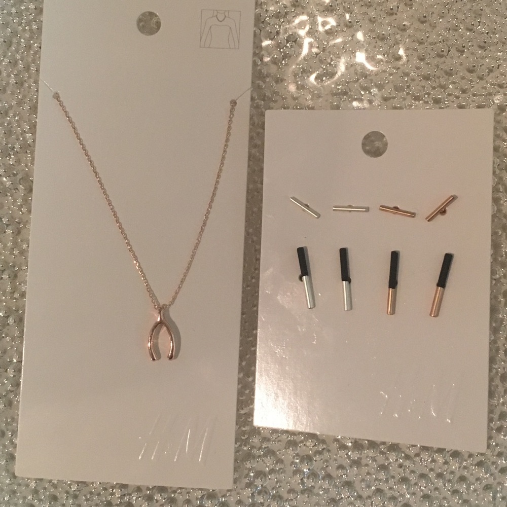 H&M NWT Rose Gold Necklace & Silver Bar Earrings