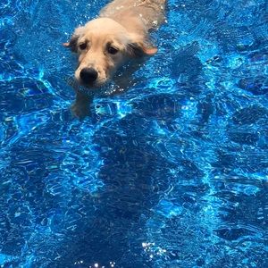 Meet your Posher, Katelynn