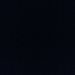 Meet your Posher, Sonny