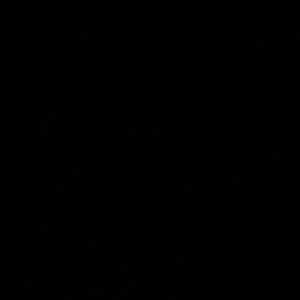 Meet your Posher, Millie