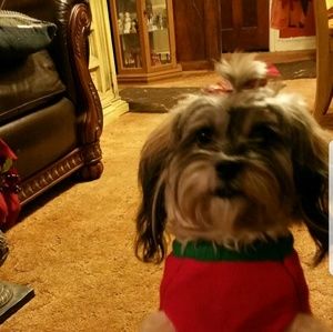 Meet your Posher, Joyce