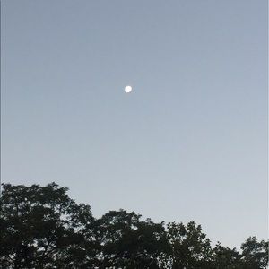 Meet your Posher, Guzal