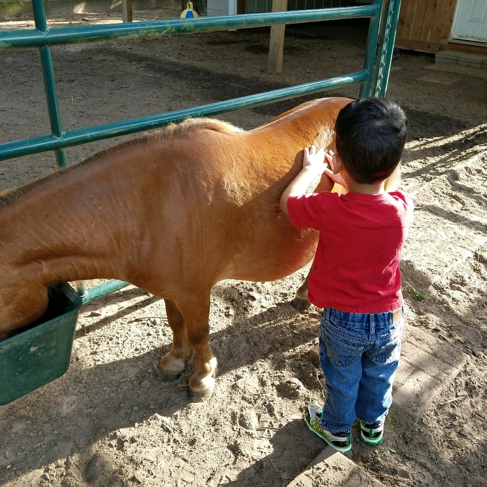 Meet your Posher, Zainab