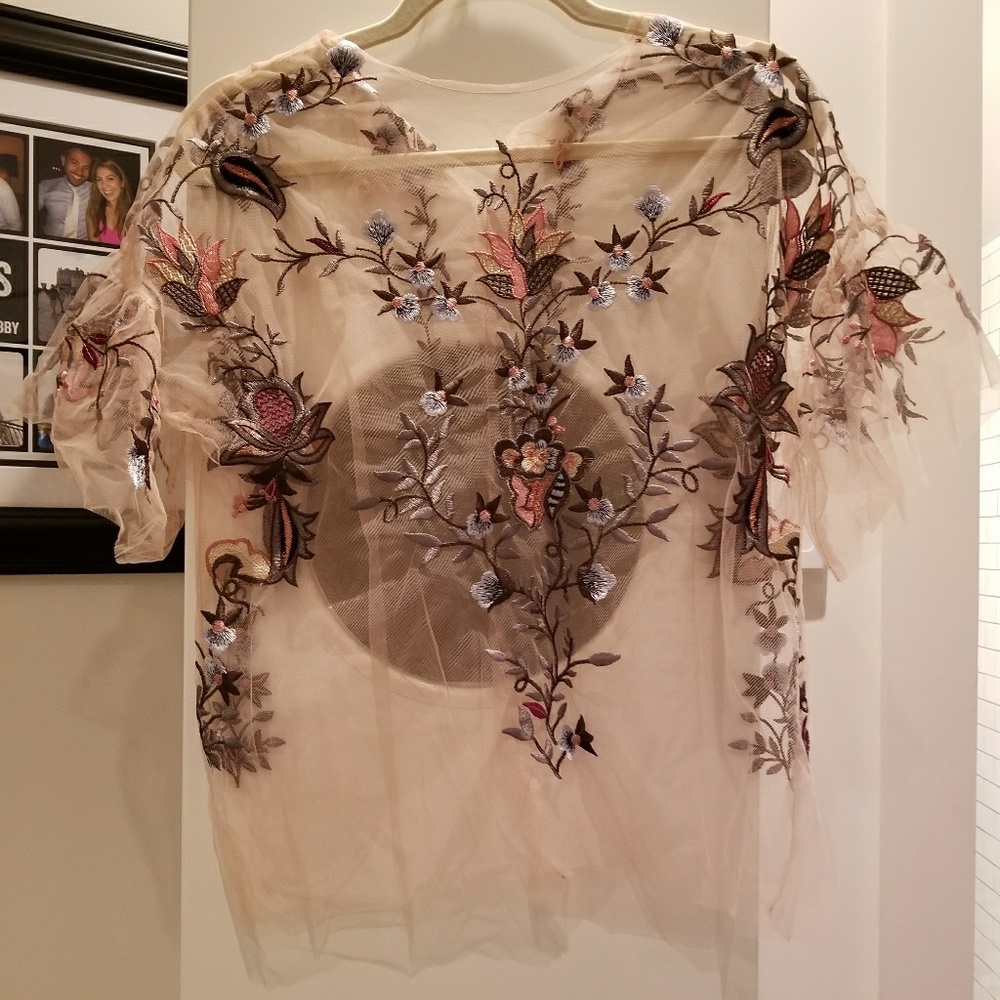 Zara lace embroidered pink sheer top