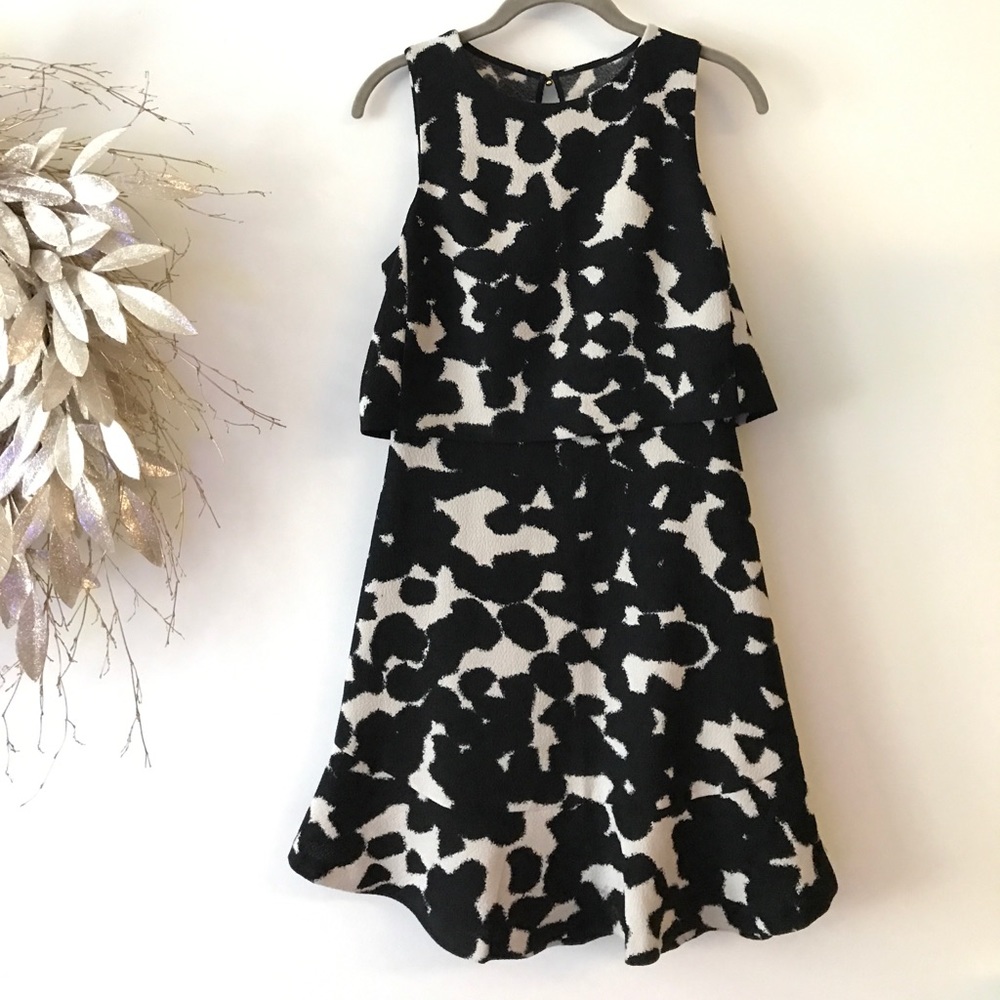Banana Republic Black & White dress