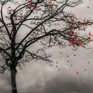 Meet your Posher, Bridget