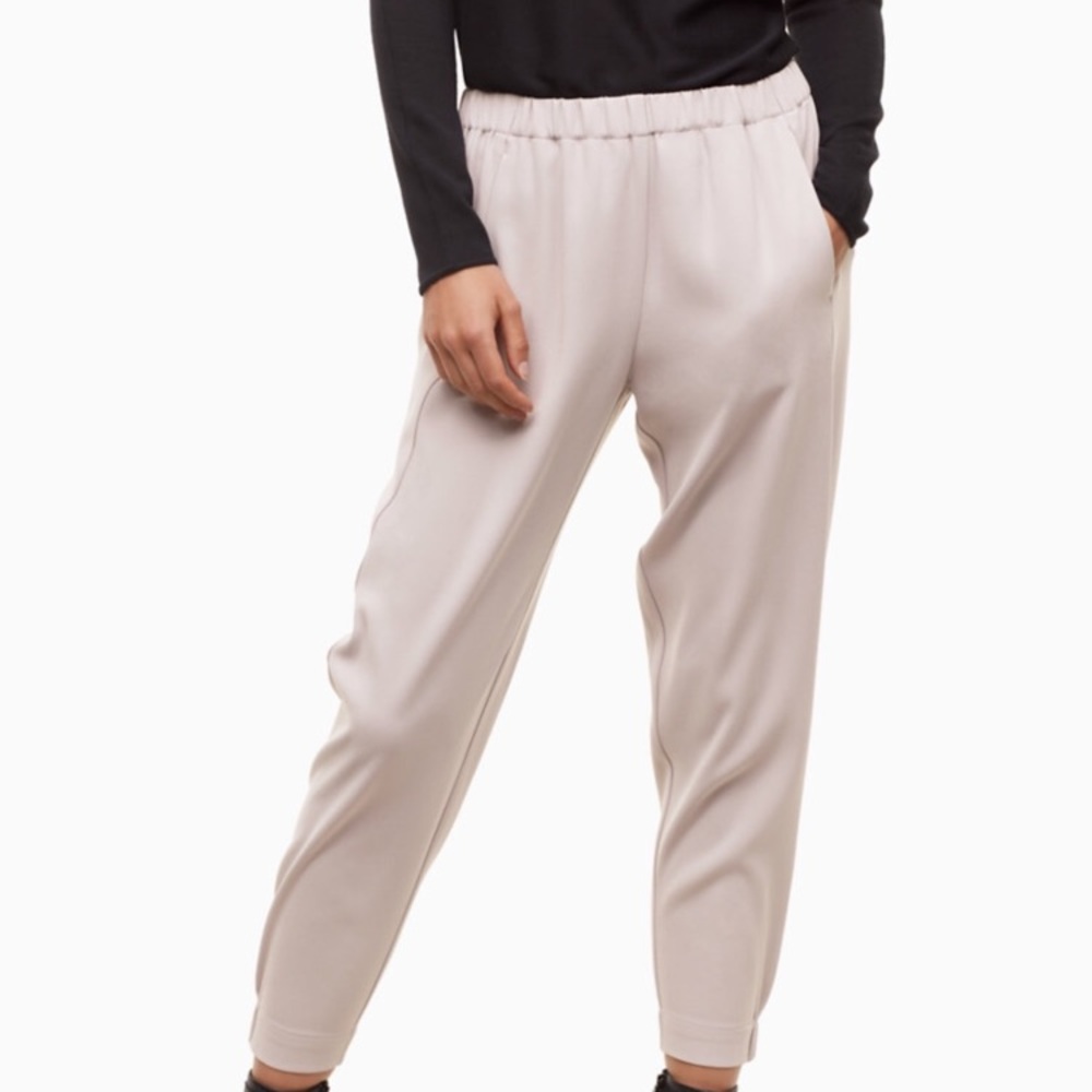 Babaton Aritzia Pants