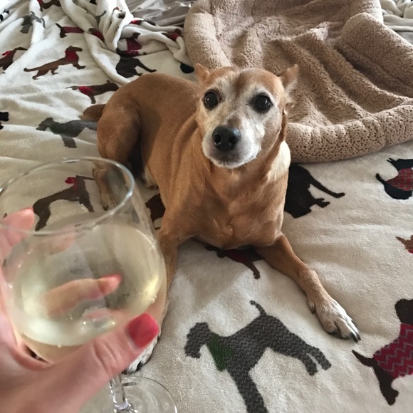 Meet your Posher, Taylor - Picture 5 of 8