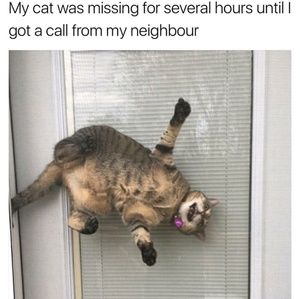 Meet your Posher, Rhea