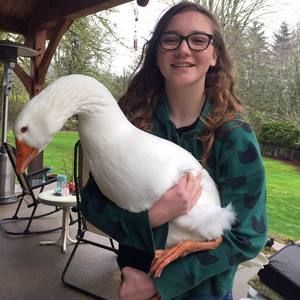 Meet your Posher, Kori