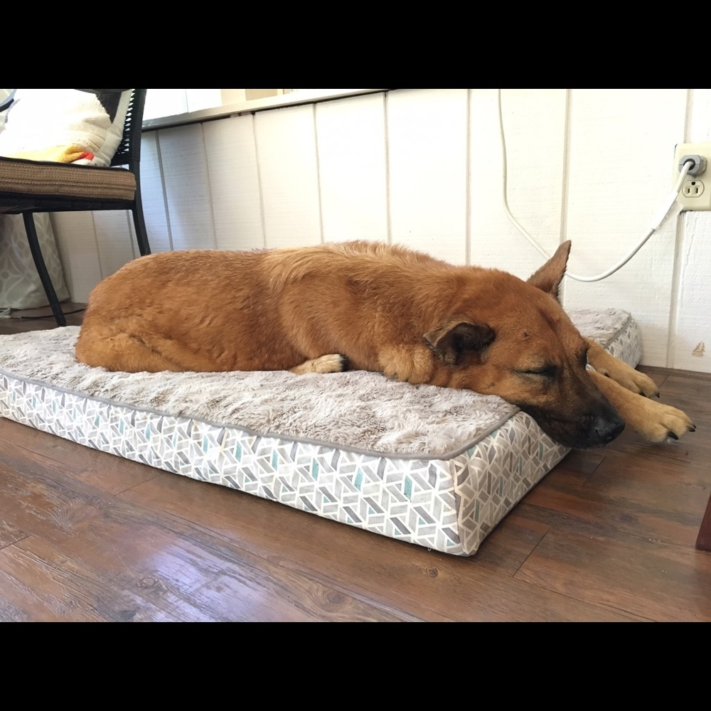 Meet your Posher, Neta