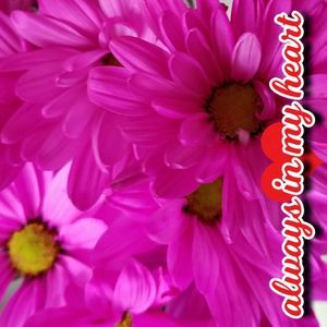 Meet your Posher, Bonnie