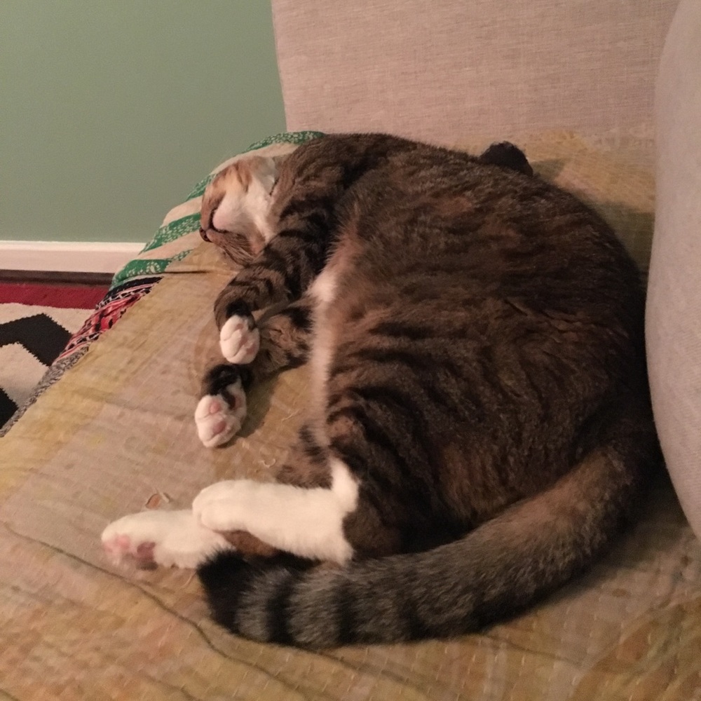 Meet your Posher, Ingrid