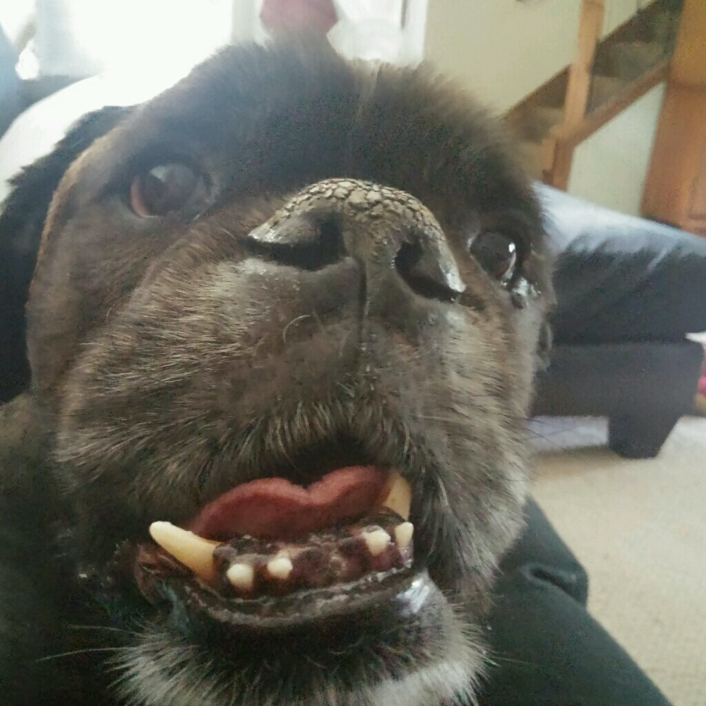 Meet your Posher, Michalla