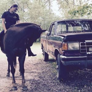 Meet your Posher, Skyla